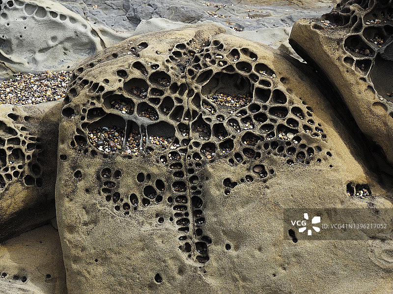 加利福尼亚州豆 hollow 州立海滩的岩石Tafoni地貌图片素材