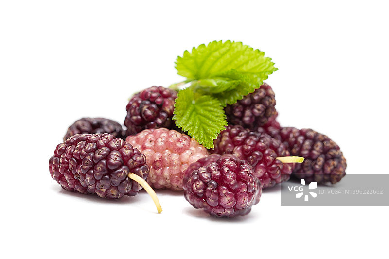 白色背景上的桑葚和叶子图片素材