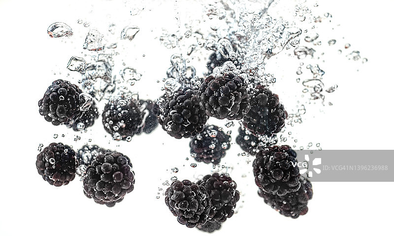 水中的黑莓图片素材