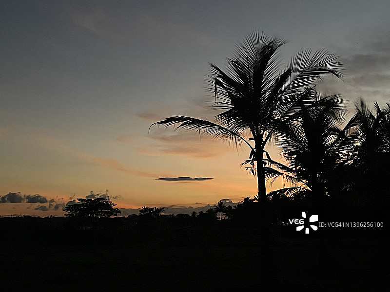 斯里兰卡蒂瑟湖日落，前景棕榈树图片素材