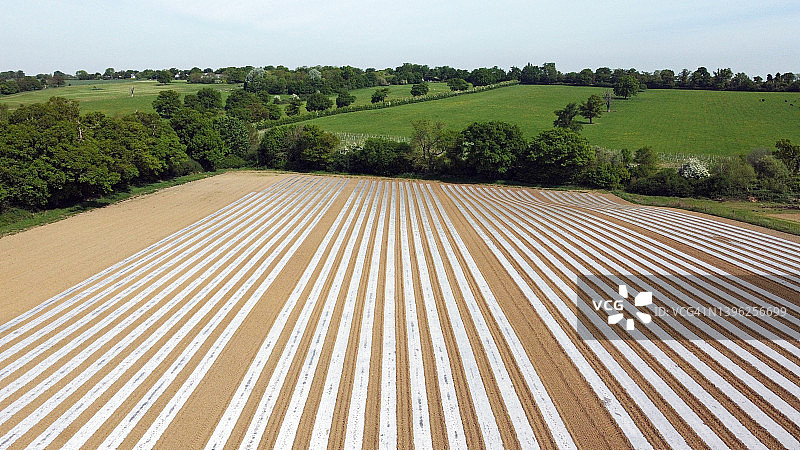 带状耕作图片素材