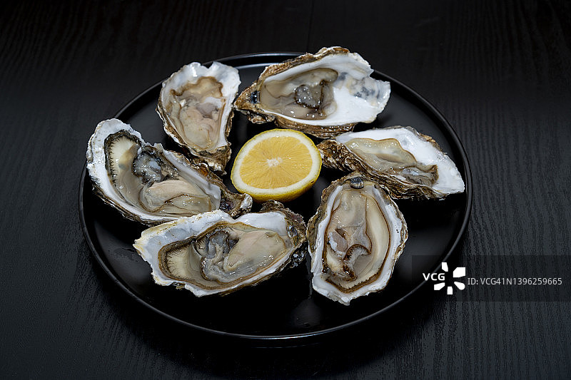 在工作室拍摄的生蚝图片素材