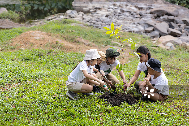 志愿者团队植树造林，拯救世界图片素材