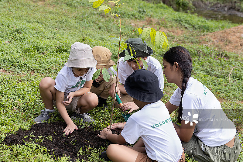 志愿者团队植树造林，拯救世界图片素材