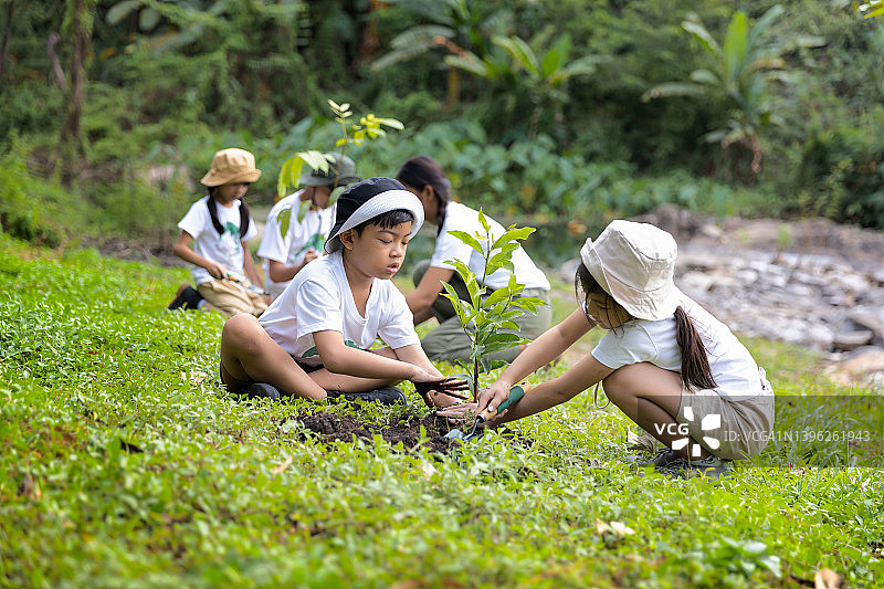 志愿者团队植树造林，拯救世界图片素材