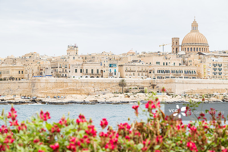 瓦莱塔天际线前的美丽鲜花图片素材