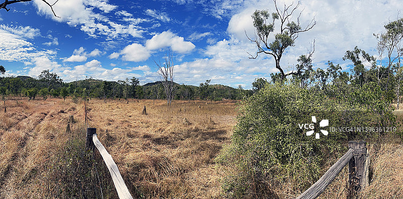 澳大利亚内陆牛肉产区图片素材