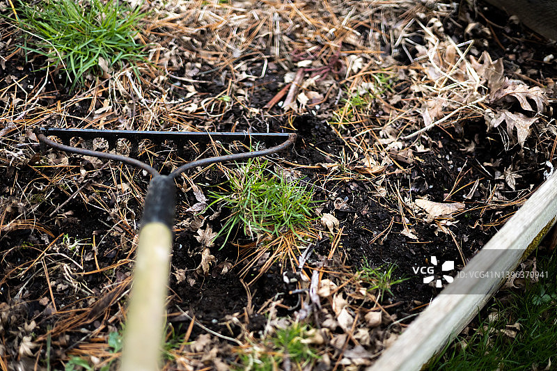 准备用于春季的蔬菜园畦图片素材
