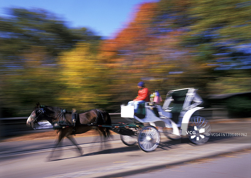 新奥尔良的马车图片素材