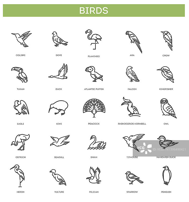 不同鸟类合集矢量线性图标图片素材