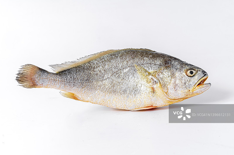 冷冻鱼图片素材