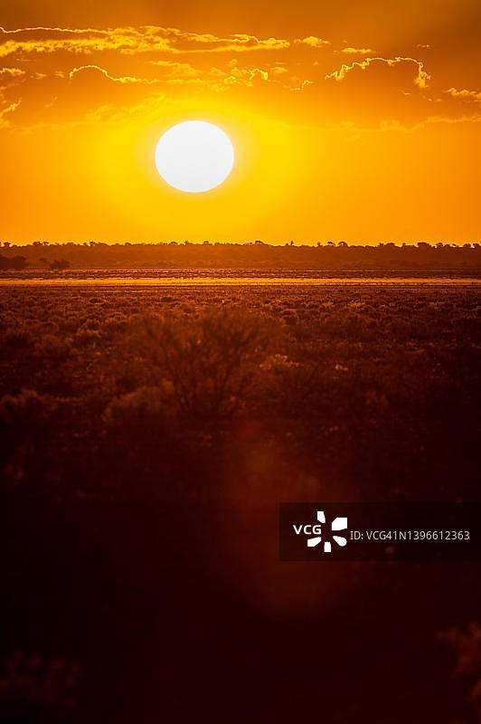 博茨瓦纳卡拉哈里平原营地的日落美景图片素材