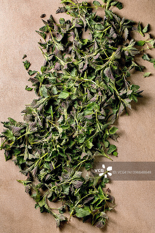 一堆年轻的荨麻叶图片素材