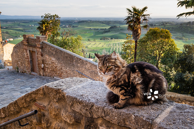 意大利托斯卡纳的卡萨莱马里蒂莫图片素材