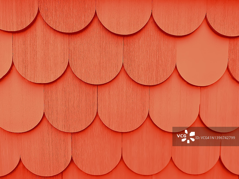 鲜艳的鲑鱼色扇贝图案背景图片素材