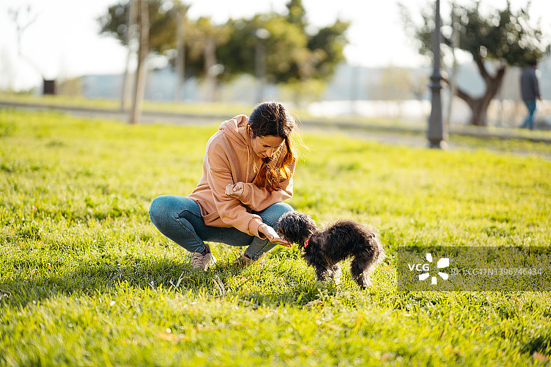 日落时分，一位女士在公园里喂一只获救的黑色西施犬图片素材