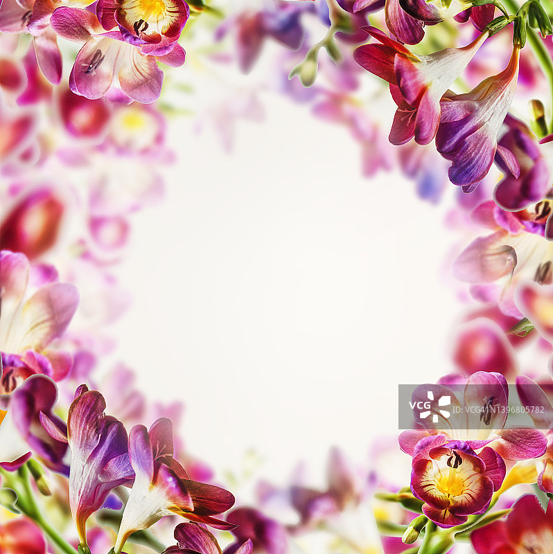 白色背景上带有兰花花瓣的彩色花朵相框，具有模糊效果和阳光图片素材