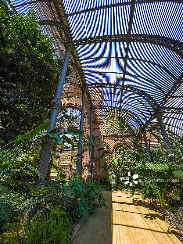 巴塞罗那展馆遮阳棚与热带植物图片素材