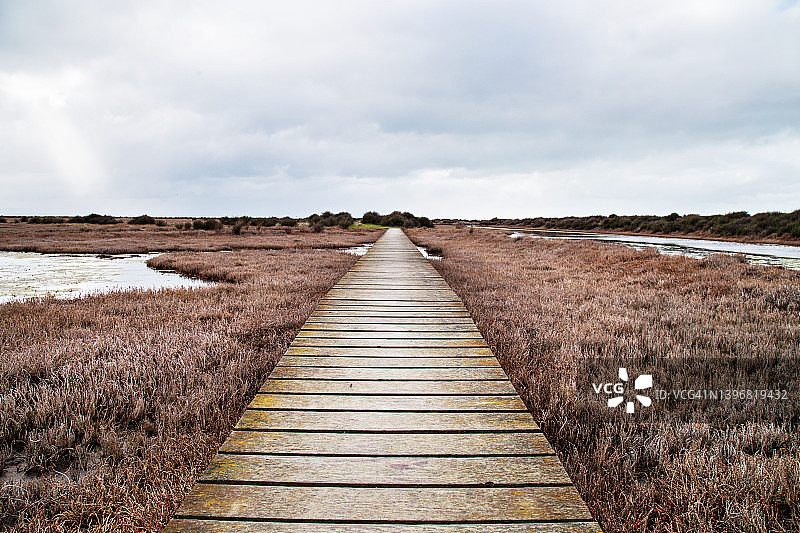 布伦海姆怀劳泻湖的沼泽地木板路，阴天图片素材