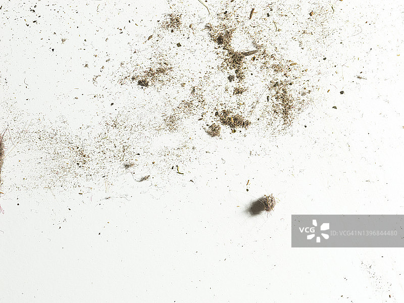 白色背景上散落的灰尘和污垢图片素材