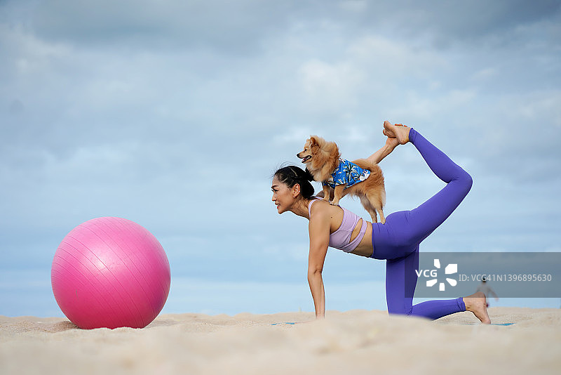 健壮而健康的亚洲女人在海滩上和小狗一起做瑜伽。图片素材