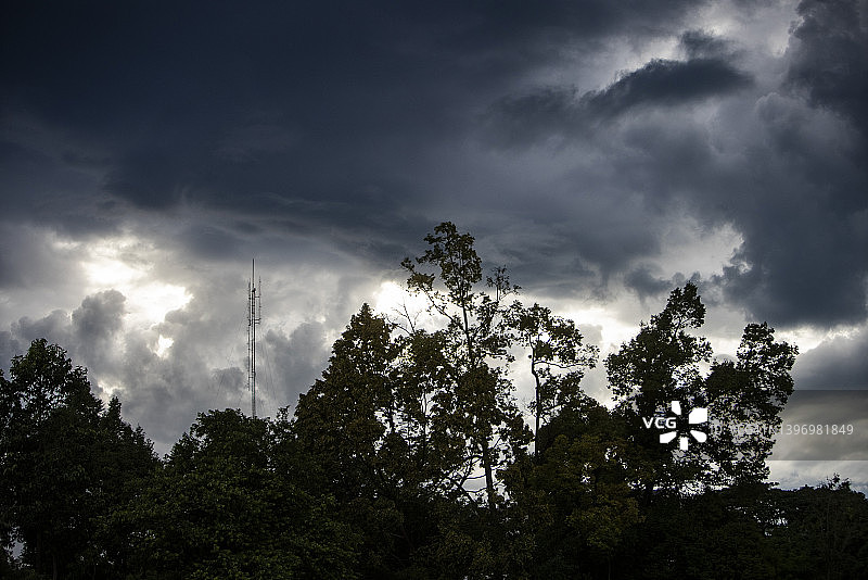 雨季高树戏剧性景观云图片素材
