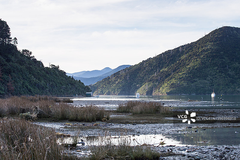 下午晚些时候，马尔堡峡湾Whatamango海湾的退潮，背景是层叠的山脉，新西兰图片素材