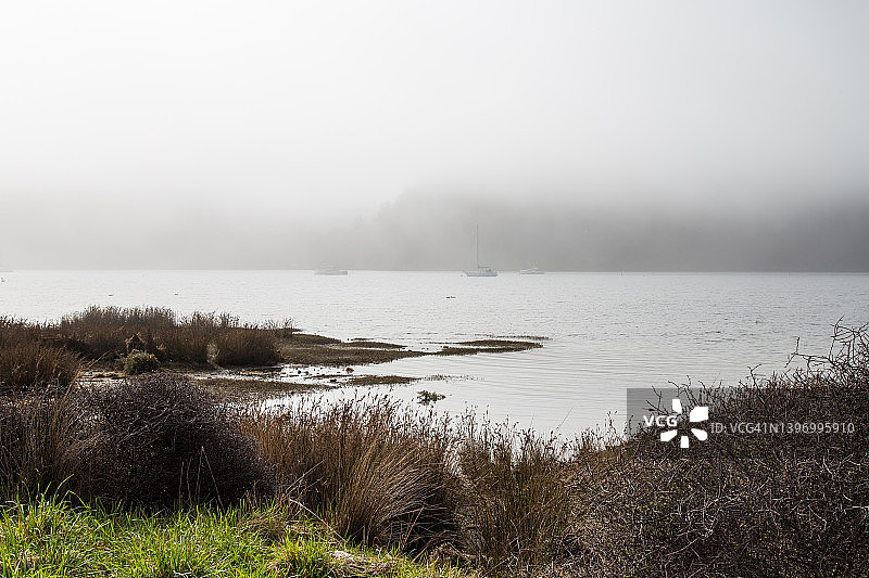 芒加马戈湾，新西兰，停泊在平静水面上的船只上的海雾，前景是草地图片素材
