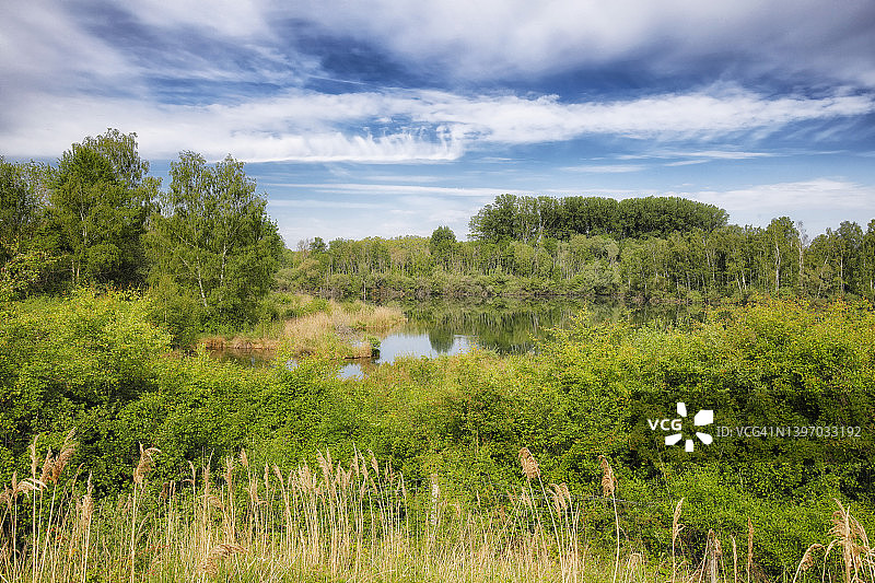 法国埃皮西的沼泽图片素材