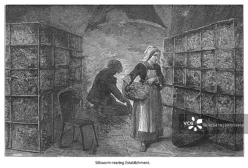 旧版画：养蚕场图片素材