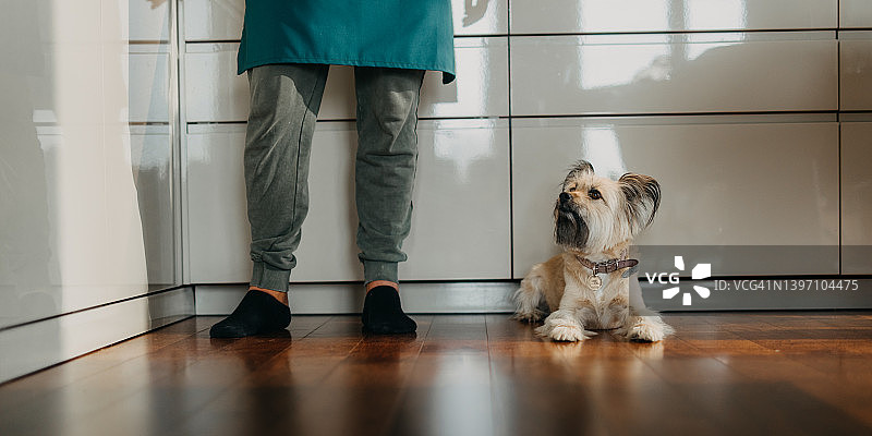 居家厨房：男子与爱犬准备食物图片素材