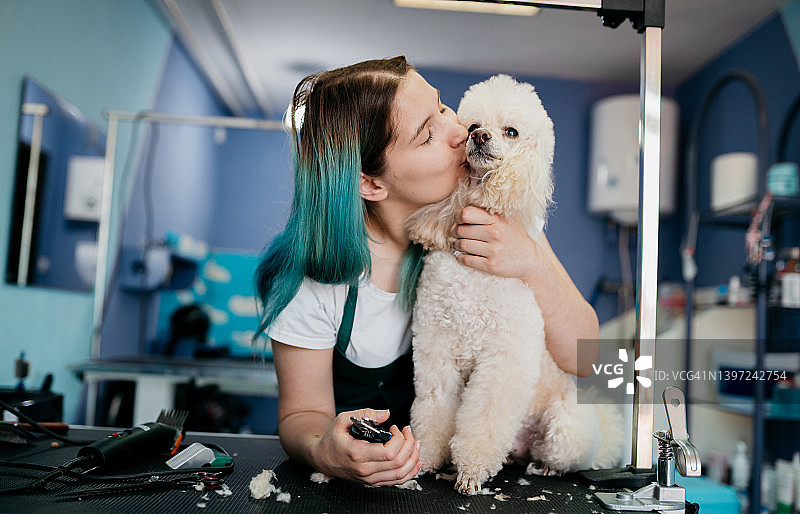 宠物狗沙龙图片素材