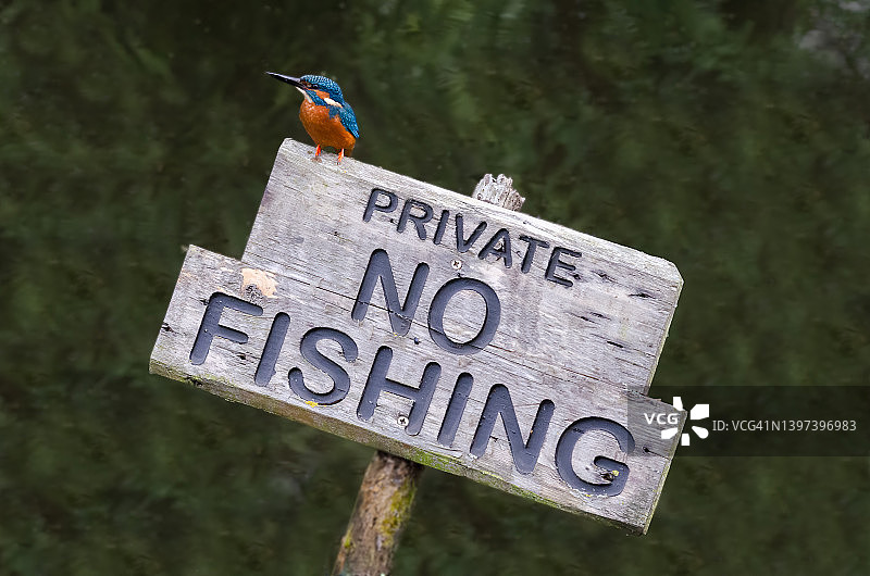 禁止钓鱼图片素材