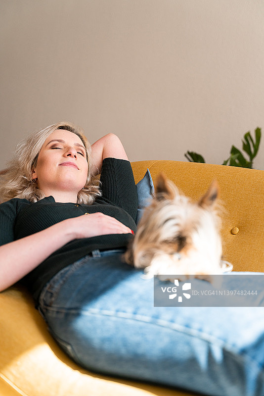 年轻女人在客厅小憩，宠物狗在她腿上休息。图片素材