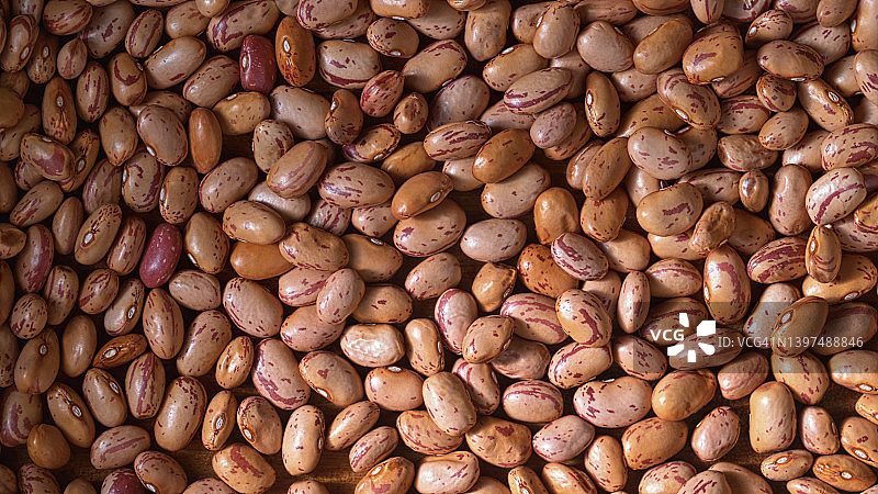 博洛蒂豆图片素材