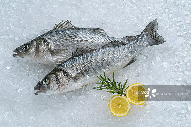 冰上柠檬迷迭香新鲜海鲜生鲈鱼图片素材