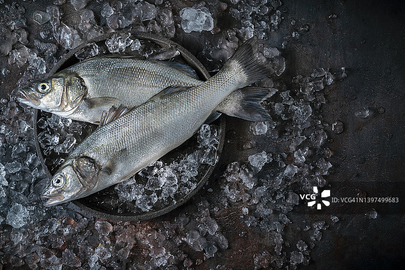 新鲜海鲈鱼图片素材