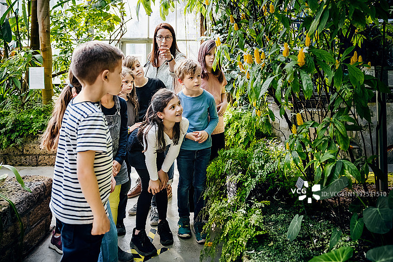 老师在植物园里教孩子们认识植物图片素材