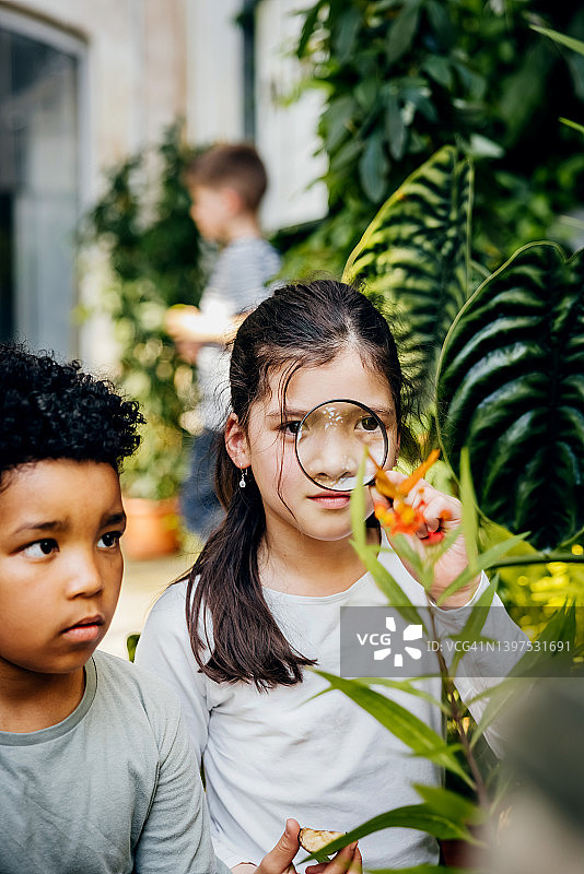 植物园考察时用放大镜观察植物的女孩图片素材