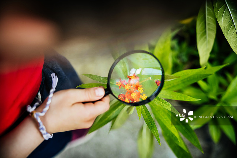年轻女孩用放大镜观察花朵的特写图片素材