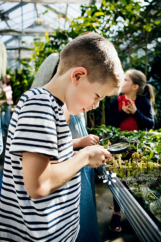 在园艺中心用放大镜观察植物的男孩图片素材