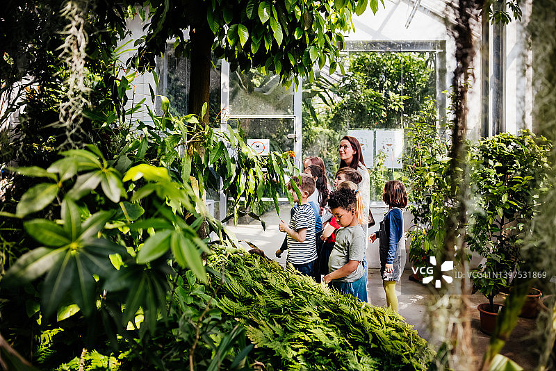 老师和学生在课堂上观察植物图片素材