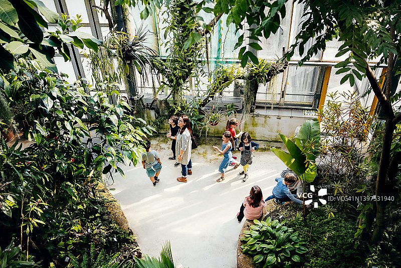 老师带领小学生参观植物园图片素材