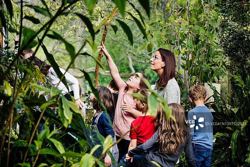 在教育旅行中指向异国植物的年轻女孩图片素材