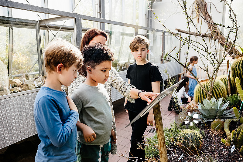 老师给小男孩们讲解仙人掌图片素材