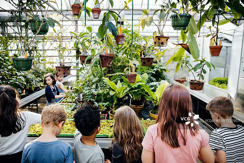 孩子们在温室里观察植物图片素材