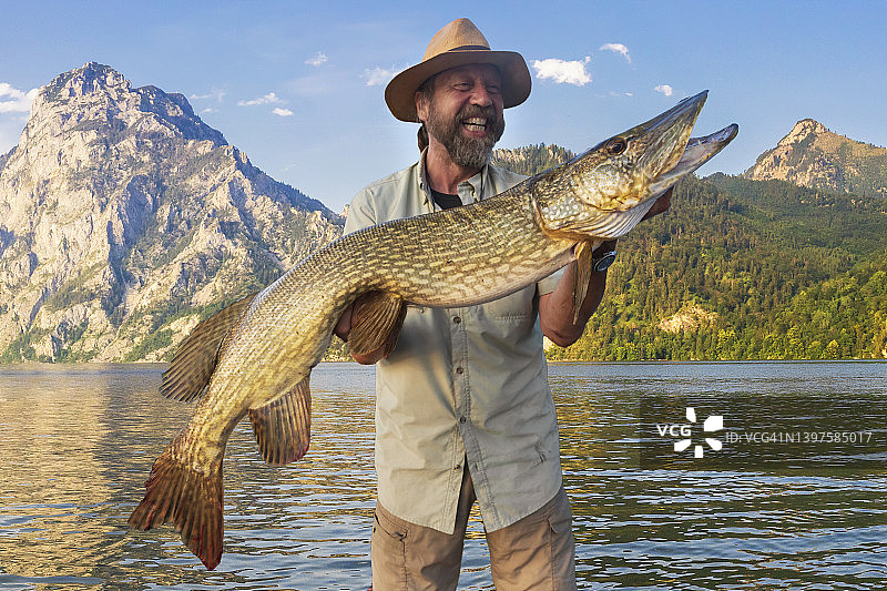 捕获的大梭鱼图片素材