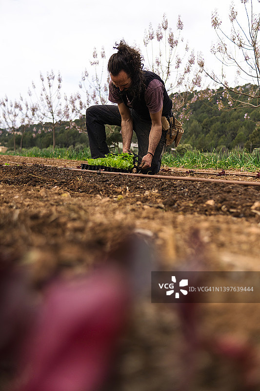 田间辛勤劳作的农场工人图片素材