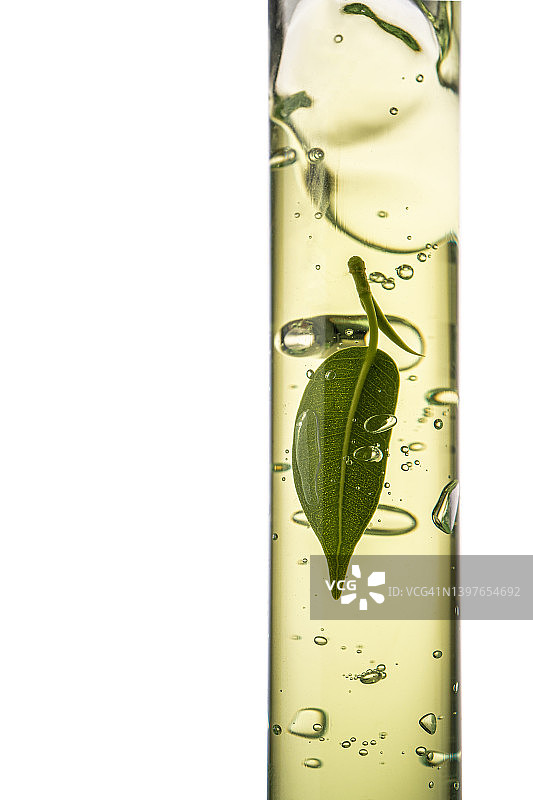 装有透明绿色化妆凝胶和绿叶的试管图片素材