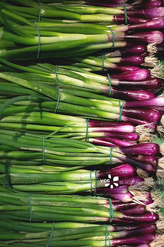 成束的青葱图片素材